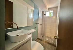 Baño completo del departamento en venta en la colonia Santa María la Ribera